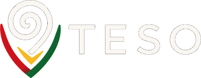 TESO — Verify. Trust. Transact.